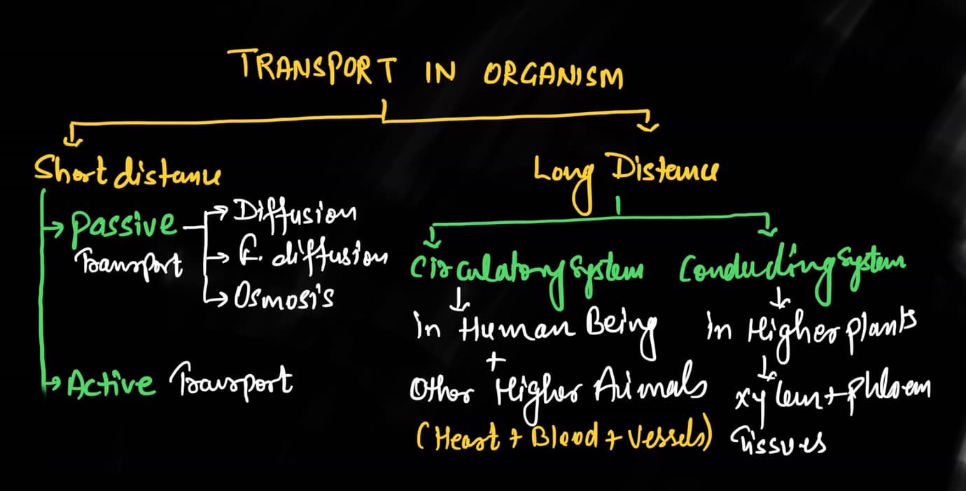 transport-in-organism-in-hindi-sikhobio