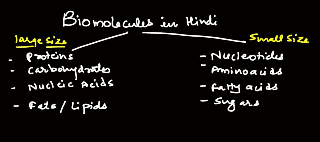 biomolecules in hindi